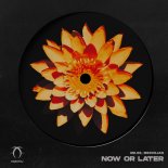 ME.EE & Medvejan - Now or Later