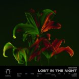 Ullusion - Lost In The Night