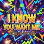 Geo Da Silva & Canello - I Know You Want Me (Calle Ocho) (Instrumental Mix)