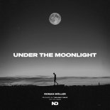 Roman Müller - Under The Moonlight