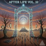 Cradle2Grave - Golden Night