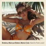 Bobina, Marcus Dielen & Mario Cola - Need To Feel Loved (Extended Mix)