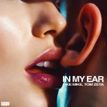 Like Mike & Tom Zeta - In My Ear (Extended Mix)