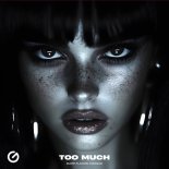 Bump Flicker & Margad - Too Much