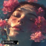 Alosa, PACANI, DRULZ & Deep Mage - Lost In Yesterday