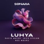 David Mayer, Nico Stojan - Luhya (Extended Mix)