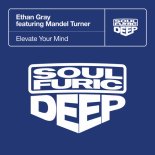 Mandel Turner, Ethan Gray - Elevate Your Mind (Extended Mix)