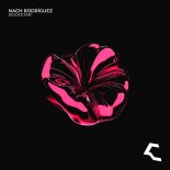 Nach Rodriguez - Rockstar (Extended Mix)