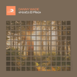 Danny Wade - Hasta el Piso (Extended Mix)
