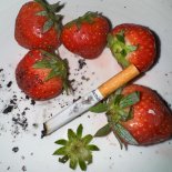 Beren Olivia - Riddle Of 25