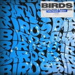 Crystal Rock & Slenderino - Birds (VolTrack Remix Extended)