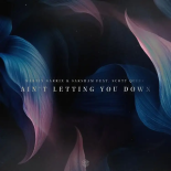 Martin Garrix & Saksham feat. Scott Quinn - Ain't Letting You Down (Extended Mix)