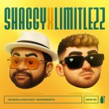 Limitlezz & Shaggy - Boombastic