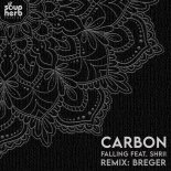Carbon feat. Shrii - Falling (Original Mix)
