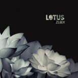 Zleex - Lotus (Original Mix)