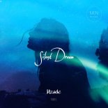 Mzade & NMG - Silent Dream