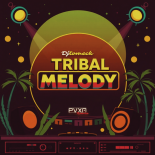 DJ TOMECK - TRIBAL MELODY (PVXN REMIX)
