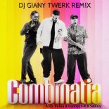 Alex Velea & Connect-R & Smiley - Combinatia (DJ Giany Twerk Remix)
