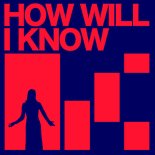 Kevin Mckay, Fab Massimo, Chantal Lewis-Brown - How Will Know
