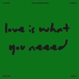 Dj Smiles (US) - Love is what you need