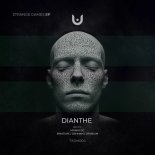 Dianthe - Intrusion (Monococ Remix)