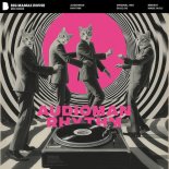 AUDIOMAN - Rhythm (Original Mix)