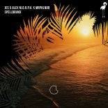 JES x Alex M.O.R.P.H. x MRPHLNDR - Spellbound (Extended Mix)