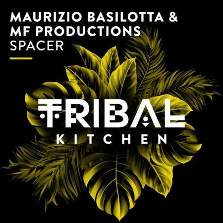 Maurizio Basilotta, MF Productions - Spacer