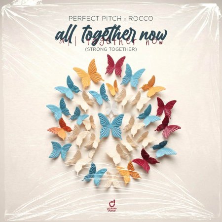 Perfect Pitch x Rocco - All Together Now (Strong Together)