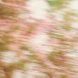 Oliver River - Feels So Long To Go