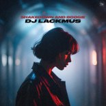 DJ Lackmus - Shakedown And Boogie