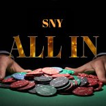 SNY - All In (Original Mix)