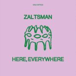 Zaltsman - Here, Everywhere