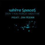 White Spaces Feat Jim Kerr - Don't You Forget About Me (Phunk Investigation In The City Radio)