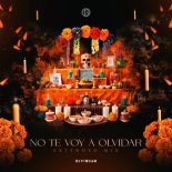 Divisium - No Te Voy A Olvidar (Extended Mix)