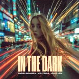 Vadim Adamov, Venteris & Just Liev - In The Dark