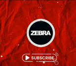 Zebra (POL) - Ale Ale Aleksandra (Club Edit)