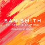 Sam Smith - I'm Not The Only One (Dom Caruso Remix)