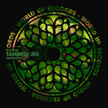 DJ Burlak - Tamarin Jig (Original Mix)