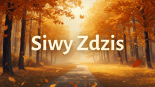 Siwy Zdzis - Listy I Spotkania