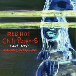 Red Hot Chili Peppers - Can't Stop (NAVIER Bootleg)
