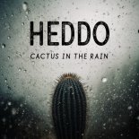 Heddo and Lumi - Cactus in the rain