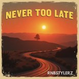 Rnbstylerz - Never Too Late (Extended Mix)