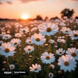 YuBoty - Tarona Dreams (Original Mix)