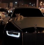 DXNKXR & SH3TLVIZ - Warm Glow Of The Past Dreams