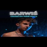 Barwiś - Chodź Do Mnie Mała (prod. MaSny)