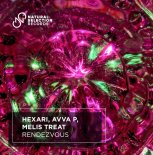 Hexari, AVVA P & Melis Treat - Rendezvous