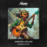 DIMESTRIX & VALLHEE - Somebody Told Me