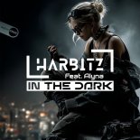 Harbitz Feat. Alyna - In The Dark
