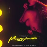 INtellegent - Mandarinka (Techno Project & Dj Geny Tur Remix)